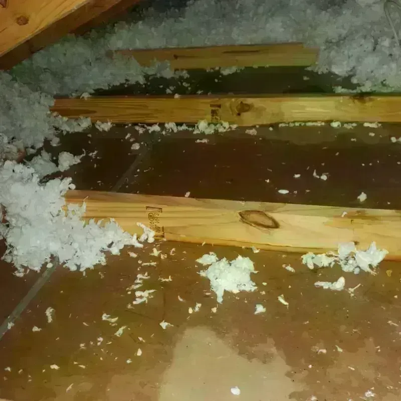 Attic Water Damage in Shawnee Land, VA