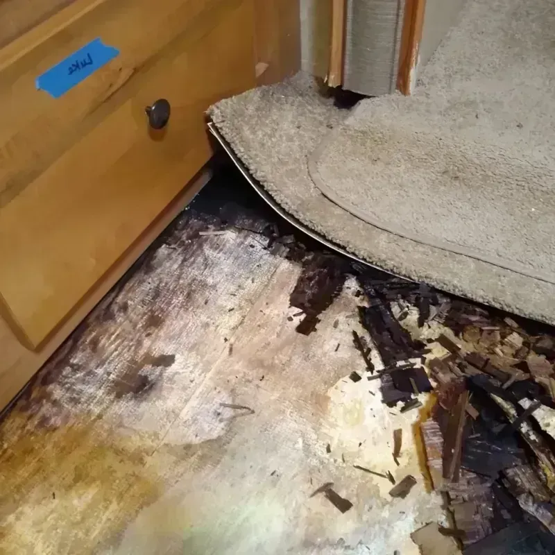 Wood Floor Water Damage in Shawnee Land, VA